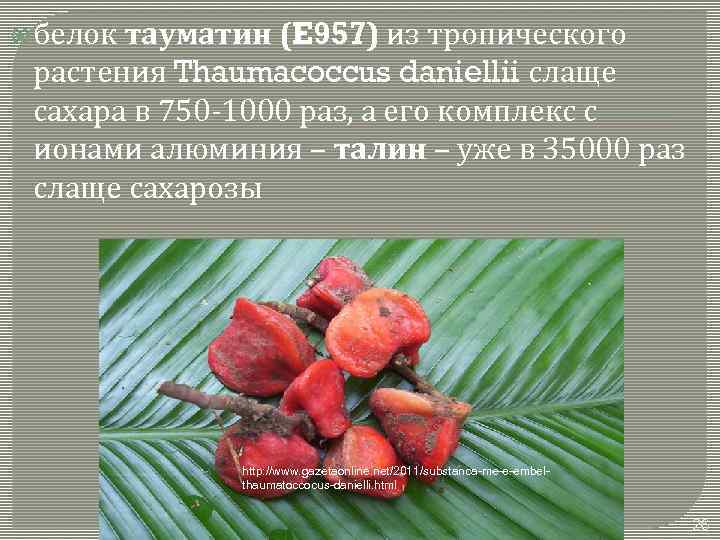  белок тауматин (E 957) из тропического растения Thaumacoccus daniellii слаще сахара в 750