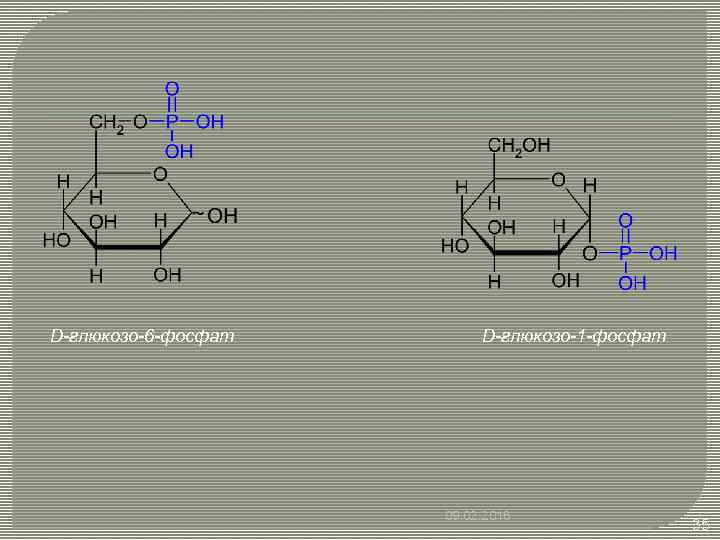 D-глюкозо-6 -фосфат D-глюкозо-1 -фосфат 09. 02. 2018 35 
