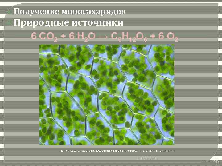  Получение моносахаридов Природные источники 6 CO 2 + 6 H 2 O →