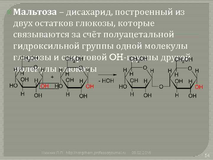  Мальтоза – дисахарид, построенный из двух остатков глюкозы, которые связываются за счёт полуацетальной