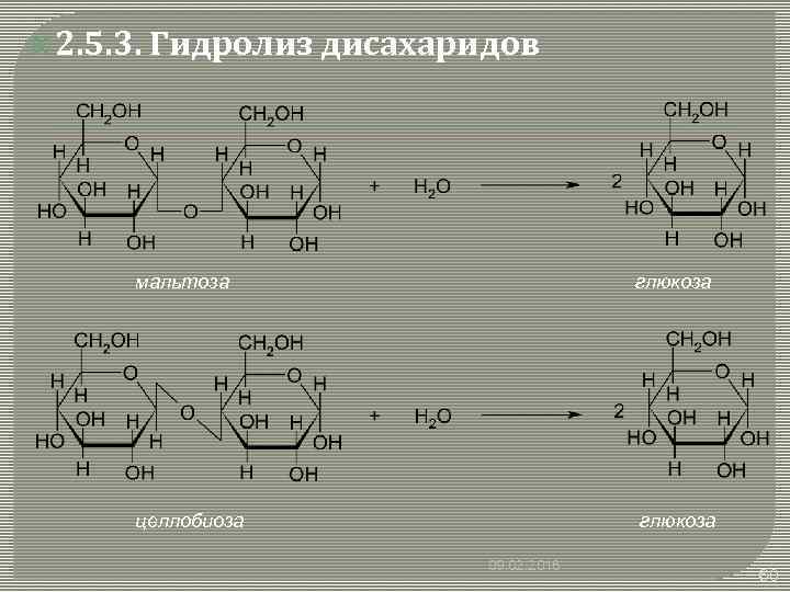  2. 5. 3. Гидролиз дисахаридов мальтоза глюкоза целлобиоза глюкоза 09. 02. 2018 60