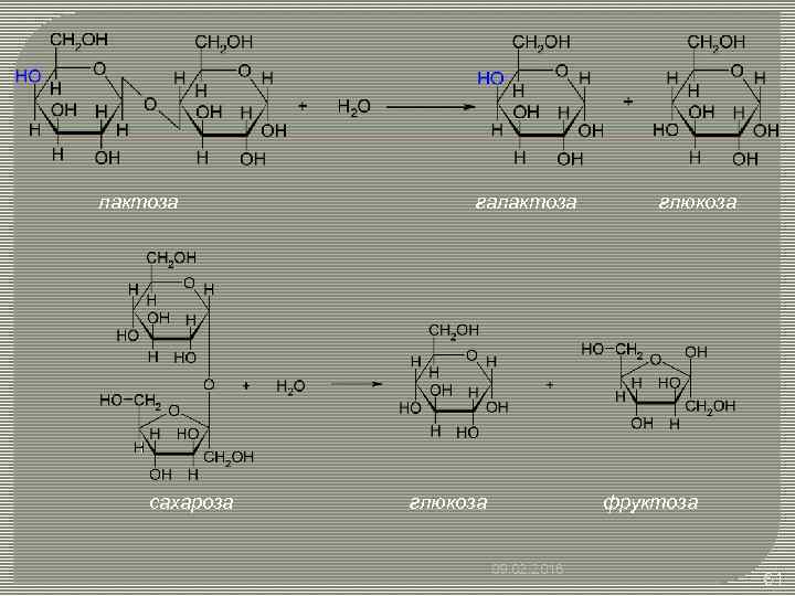 лактоза сахароза галактоза глюкоза фруктоза 09. 02. 2018 61 