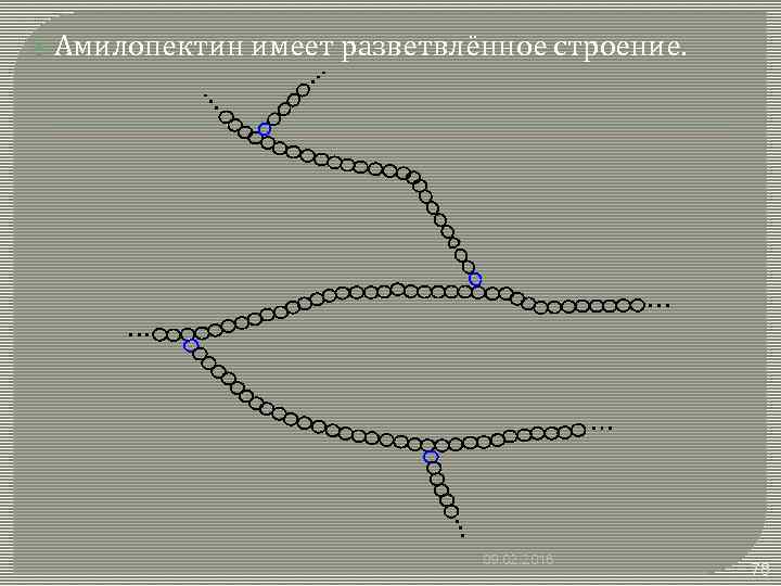  Амилопектин имеет разветвлённое строение. 09. 02. 2018 78 