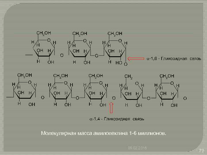 Молекулярная масса амилопектина 1 -6 миллионов. 09. 02. 2018 79 
