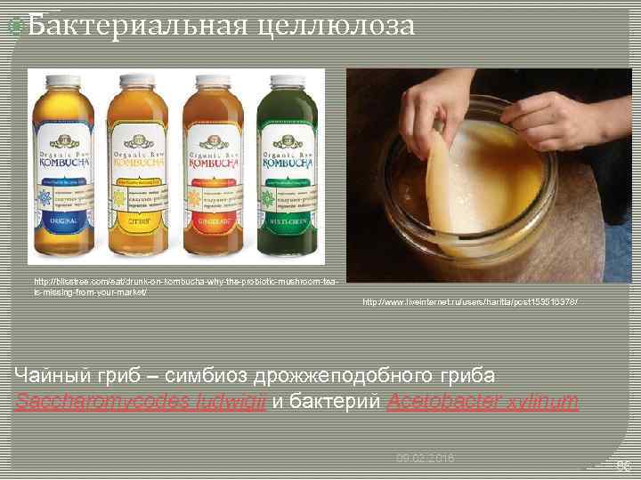  Бактериальная целлюлоза http: //blisstree. com/eat/drunk-on-kombucha-why-the-probiotic-mushroom-teais-missing-from-your-market/ http: //www. liveinternet. ru/users/haritta/post 153516378/ Чайный гриб –