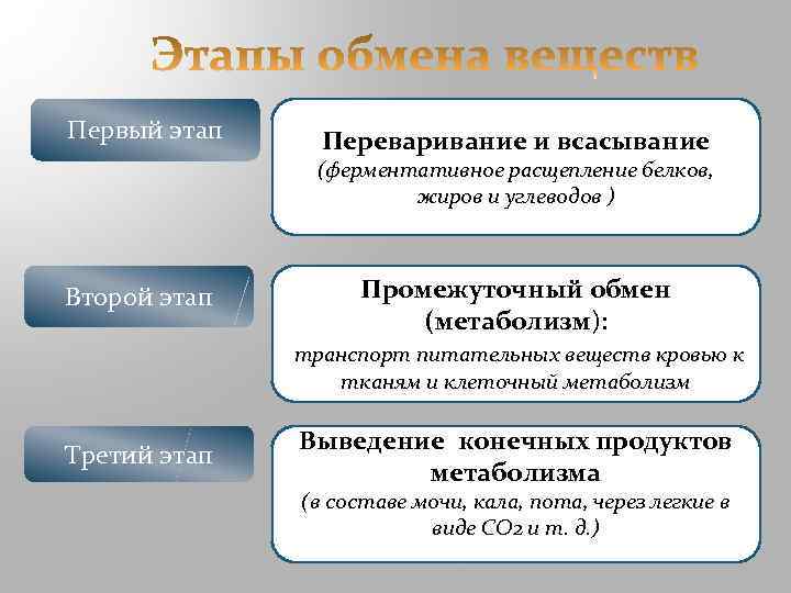 Первый этап Переваривание и всасывание (ферментативное расщепление белков, жиров и углеводов ) Второй этап