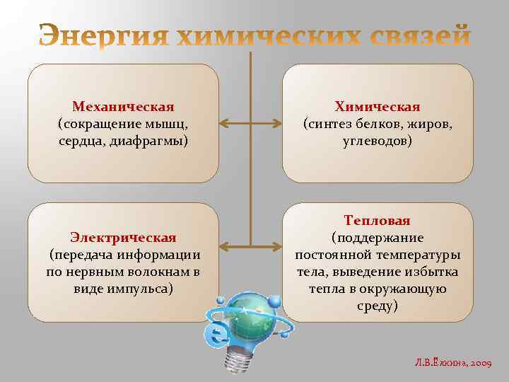 Механическая (сокращение мышц, сердца, диафрагмы) Химическая (синтез белков, жиров, углеводов) Электрическая (передача информации по