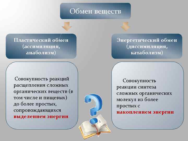 Обмен веществ ассимиляция. Обмен веществ ассимиляция и диссимиляция. Процессы ассимиляции и диссимиляции веществ.. Пластический обмен веществ. Диссимиляция обмен веществ.