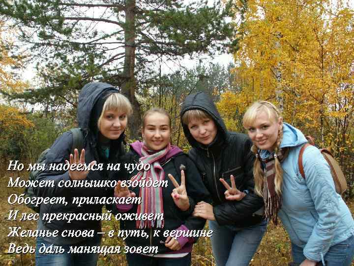 Но мы надеемся на чудо Может солнышко взойдет Обогреет, приласкает И лес прекрасный оживет