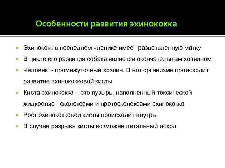 Особенности развития эхинококка Эхинококк в последнем членике имеет разветвленную матку В цикле его развития