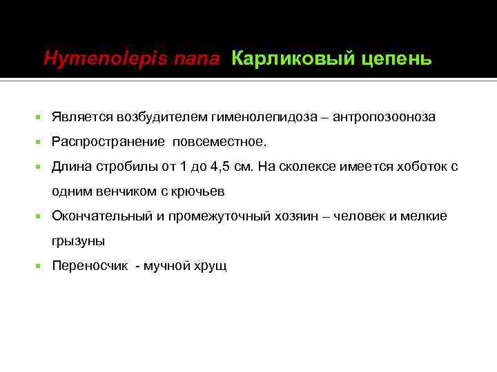 Hymenolepis nana Карликовый цепень Является возбудителем гименолепидоза – антропозооноза Распространение повсеместное. Длина стробилы от