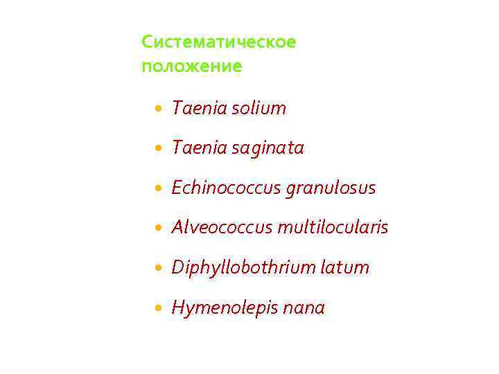 Систематическое положение Taenia solium Taenia saginata Echinococcus granulosus Alveococcus multilocularis Diphyllobothrium latum Hymenolepis nana