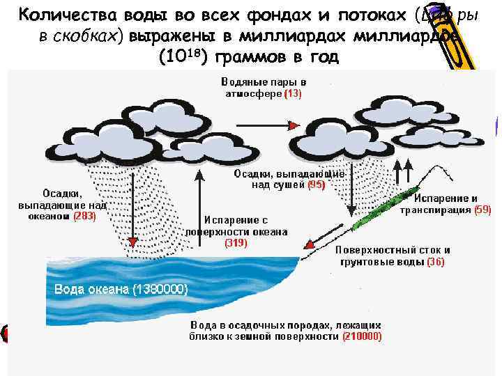 Количества воды во всех фондах и потоках (цифры в скобках) выражены в миллиардах миллиардов