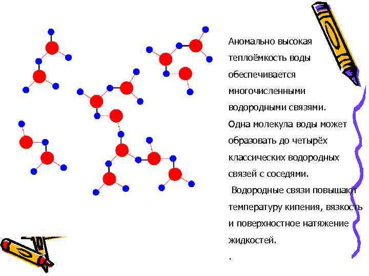 Аномально высокая теплоёмкость воды обеспечивается многочисленными водородными связями. Одна молекула воды может образовать до