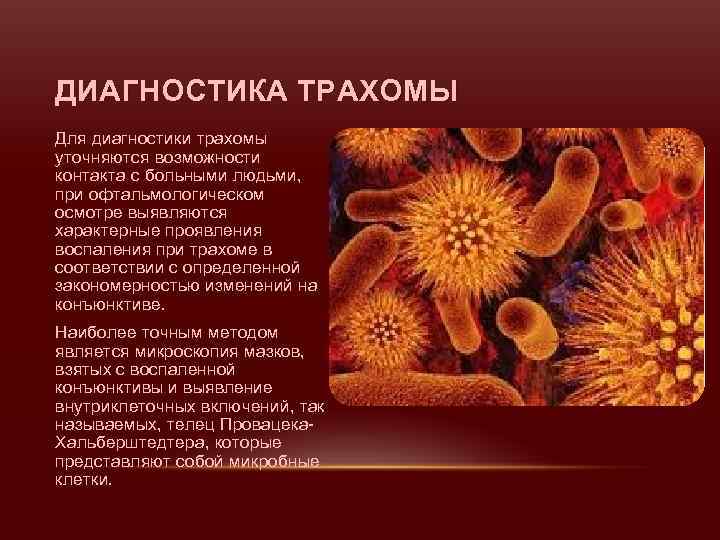 ДИАГНОСТИКА ТРАХОМЫ Для диагностики трахомы уточняются возможности контакта с больными людьми, при офтальмологическом осмотре