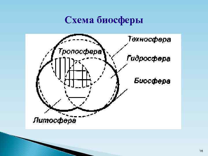 Схема биосферы 18 