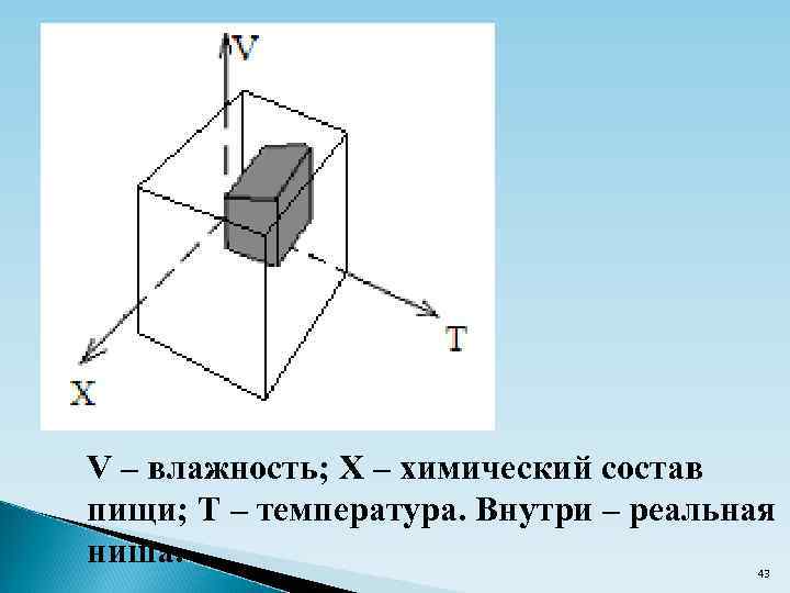 V – влажность; X – химический состав пищи; T – температура. Внутри – реальная