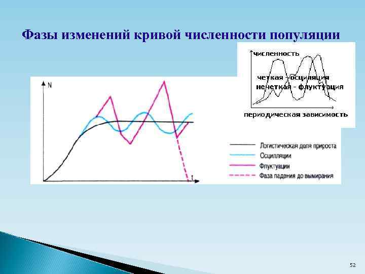 Фазы изменений кривой численности популяции 52 