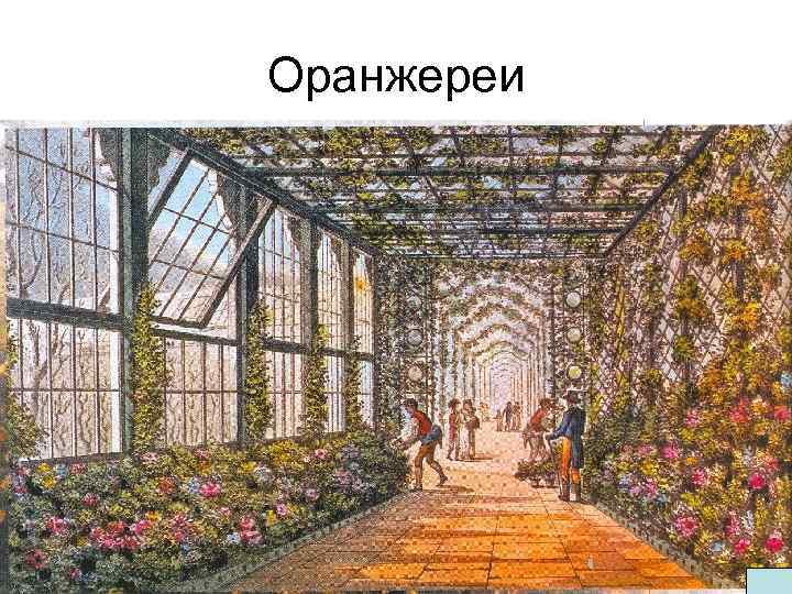 Оранжереи 