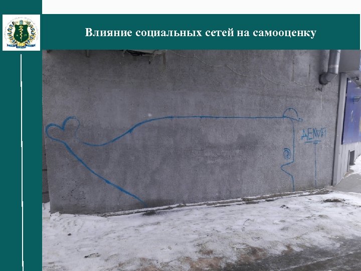 Влияние социальных сетей на самооценку 