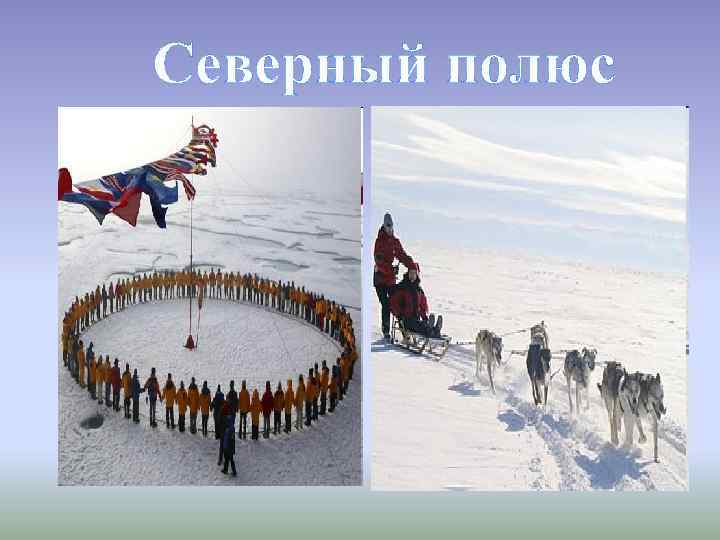 Северный полюс 