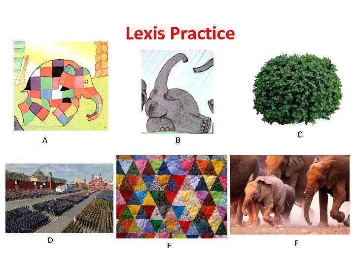 Lexis Practice A B D E С F 