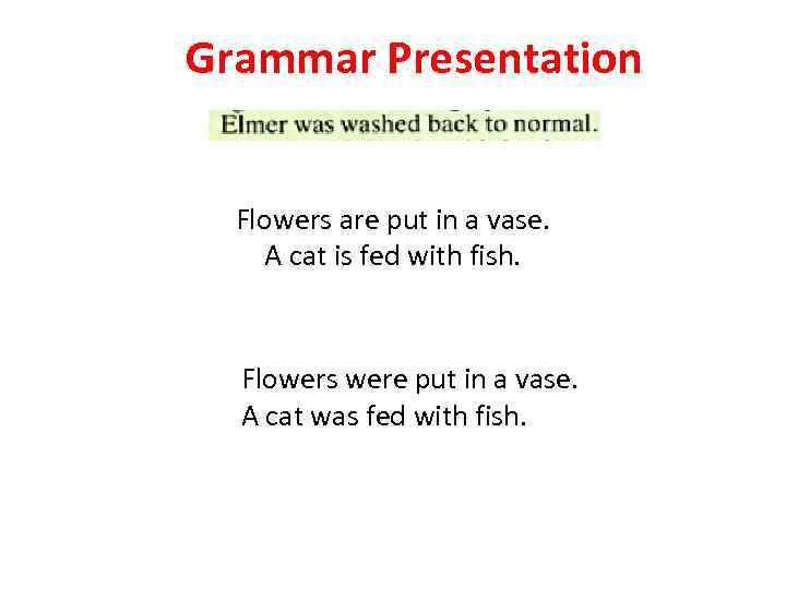 Grammar Presentation Flowers are put in a vase. A cat is fed with fish.