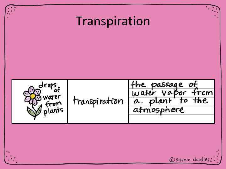Transpiration 