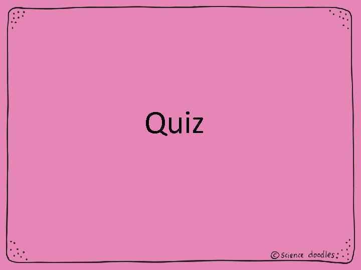 Quiz 