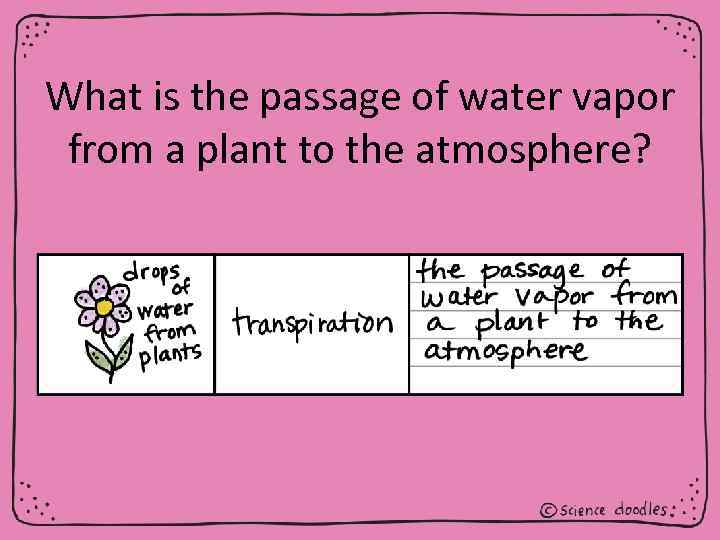 What is the passage of water vapor from a plant to the atmosphere? 
