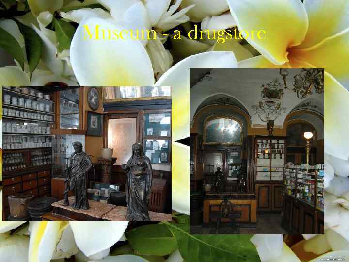 Museum - a drugstore 