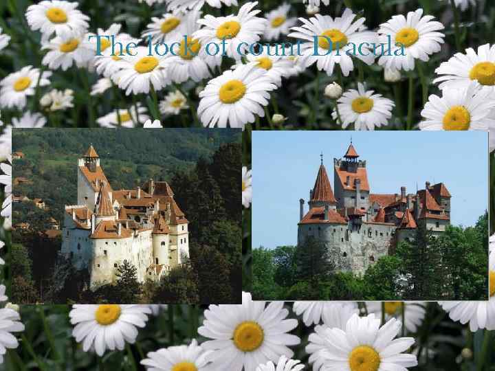 The lock of count Dracula 