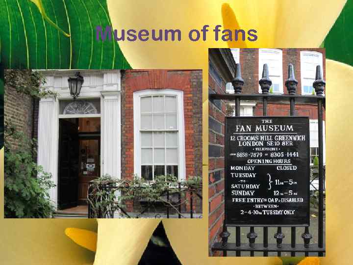 Museum of fans 