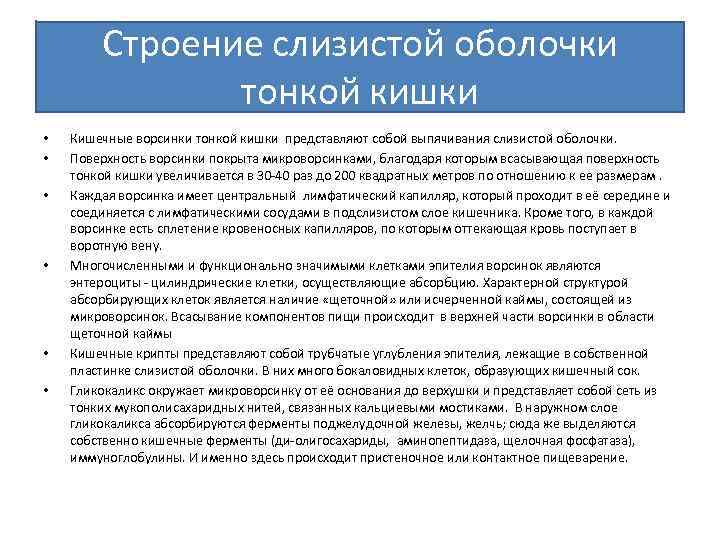 Строение слизистой оболочки тонкой кишки • • • Кишечные ворсинки тонкой кишки представляют собой