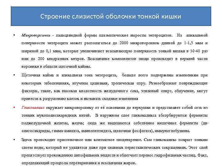 Строение слизистой оболочки тонкой кишки • Микроворсинки - пальцевидной формы плазматические выросты энтероцитов. На