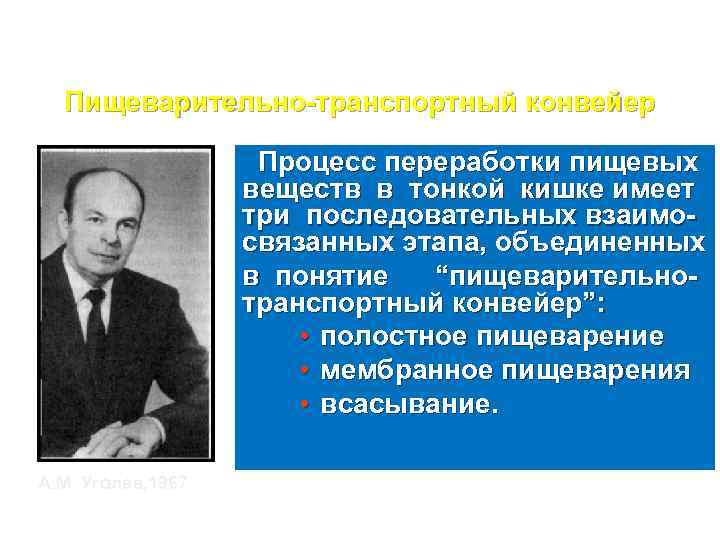 Пищеварительно-транспортный конвейер Процесс переработки пищевых веществ в тонкой кишке имеет три последовательных взаимосвязанных этапа,