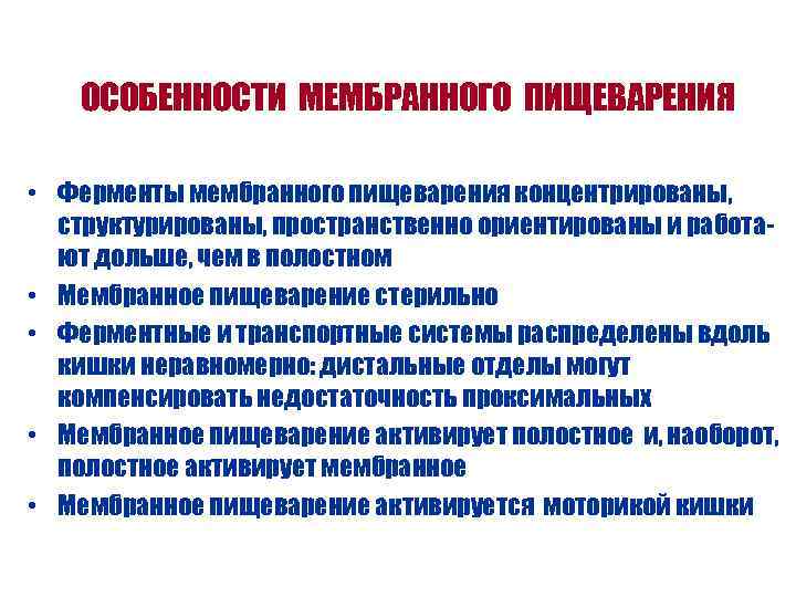 ОСОБЕННОСТИ МЕМБРАННОГО ПИЩЕВАРЕНИЯ • Ферменты мембранного пищеварения концентрированы, структурированы, пространственно ориентированы и работают дольше,
