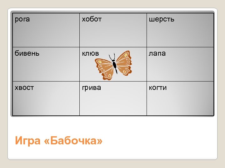 рога хобот шерсть бивень клюв лапа хвост грива когти Игра «Бабочка» 