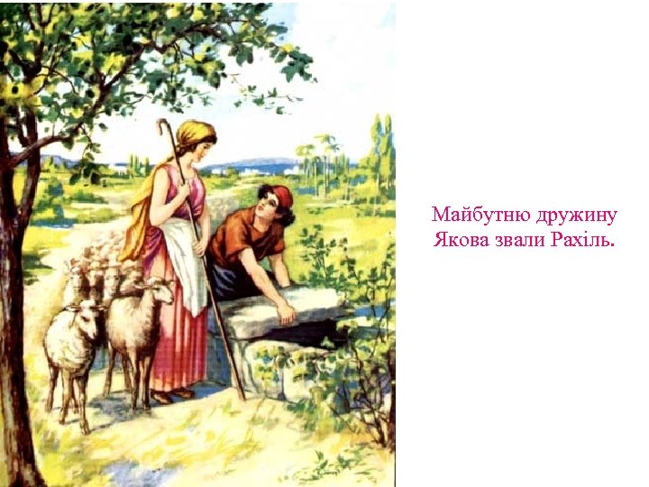 Майбутню дружину Якова звали Рахіль. 