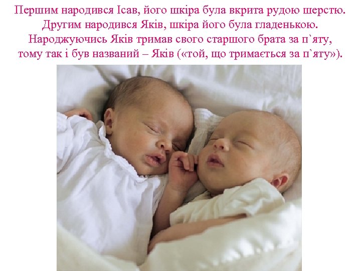 Першим народився Ісав, його шкіра була вкрита рудою шерстю. Другим народився Яків, шкіра його