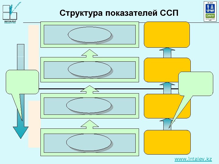 Структура показателей ССП www. intalev. kz 