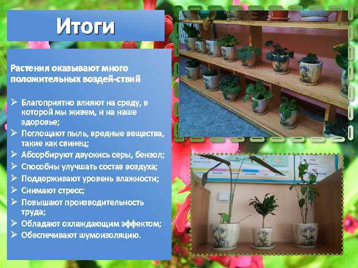 Итоги Растения оказывают много положительных воздей ствий : Ø Благоприятно влияют на среду, в