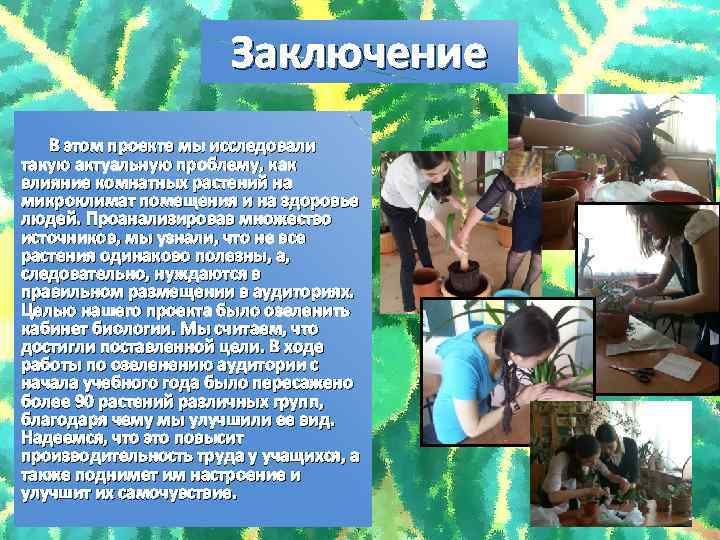 Заключение В этом проекте мы исследовали такую актуальную проблему, как влияние комнатных растений на