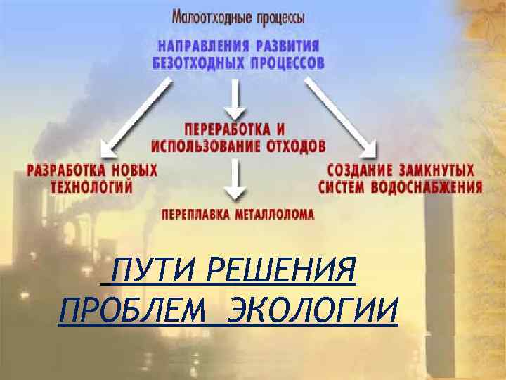 ПУТИ РЕШЕНИЯ ПРОБЛЕМ ЭКОЛОГИИ 