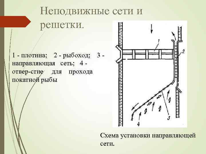 Неподвижные сети и решетки. 1 плотина; 2 рыбоход; 3 направляющая сеть; 4 отвер стие