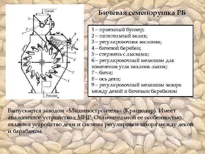 Бичевая семенорушка РБ 1 – приемный бункер; 2 – питательный валик; 3 – регулировочная