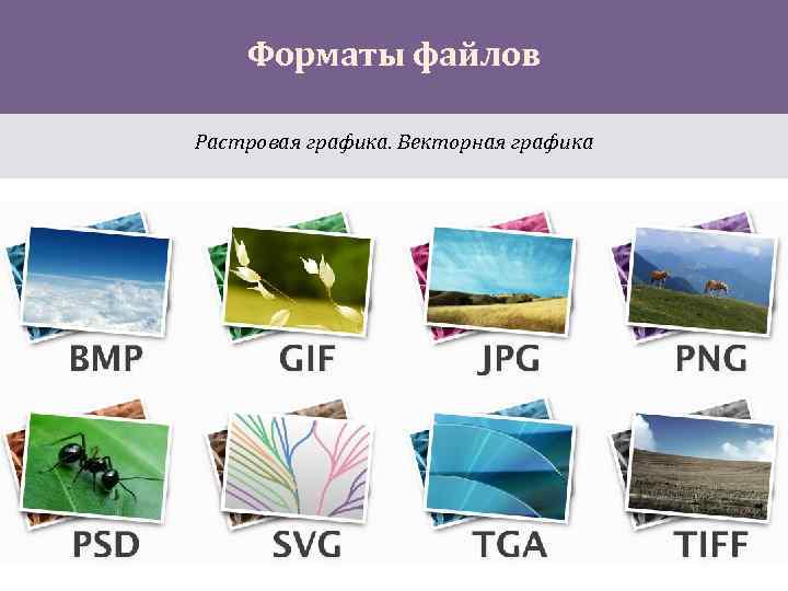 Форматы файлов Растровая графика. Векторная графика 