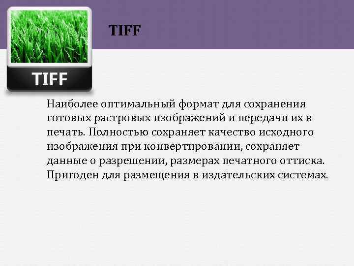TIFF Наиболее оптимальный формат для сохранения готовых растровых изображений и передачи их в печать.