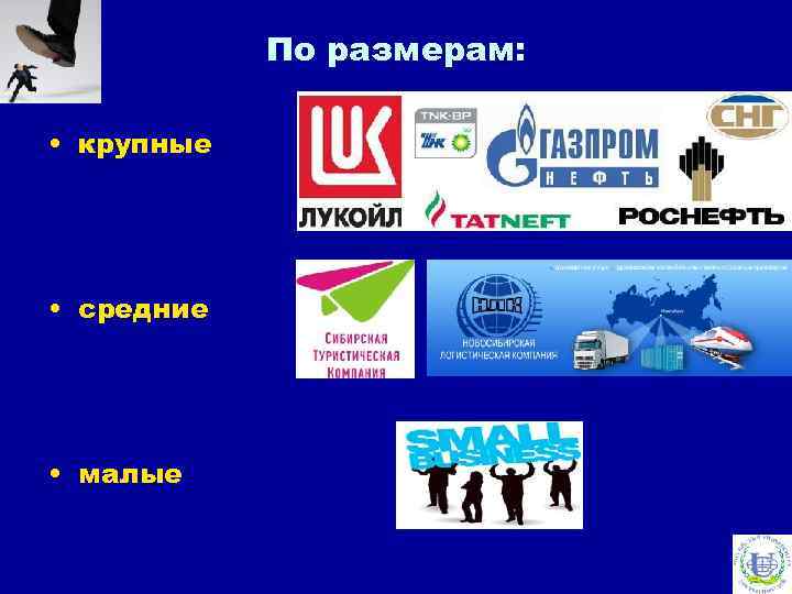 По размерам: • крупные • средние • малые 