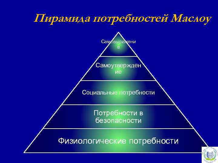 Пирамида потребностей Маслоу Самовыражени е Самоутвержден ие Социальные потребности Потребности в безопасности Физиологические потребности